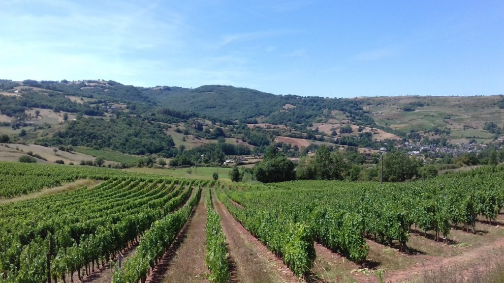 Marcillac Aveyron wijngaarden
