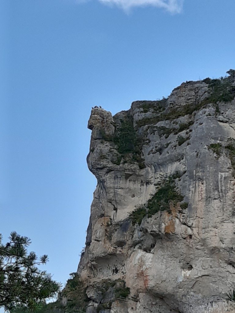 Causse Méjean Gorges du Tarn gieren op rots